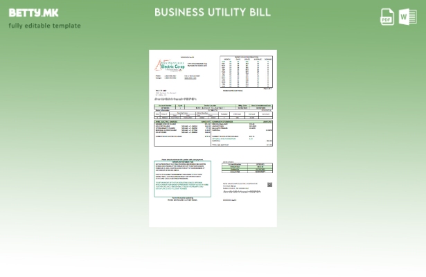 Модерен стил на Њу Хемпшир Електрик Коо шаблон за деловна сметка за електрична е